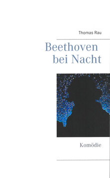 Beethoven bei Nacht