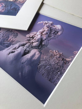 REPRODUCTIONS SOUS PASSEPARTOUT "VELIN 3 mm"