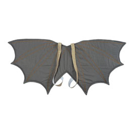 Wings Dragon