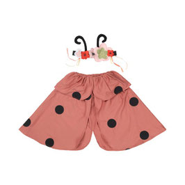 Dress Up Ladybug