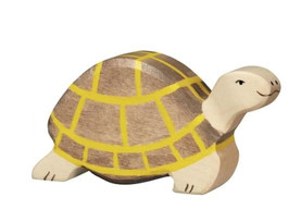 Schildkröte braun