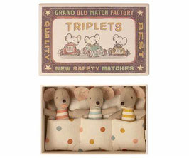 Triplets Baby Mice in box