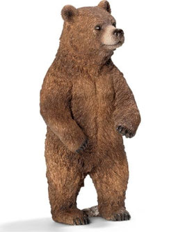 Grizzlybärin stehend