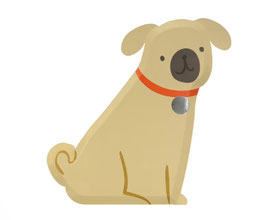Teller Hund