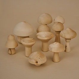 Mushroom Natural