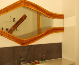 Mirrorlight Insekt