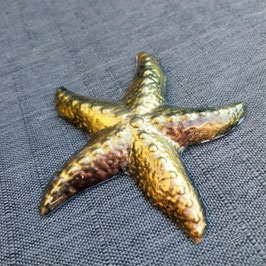 Orgonit Seestern goldig (S45a)| Edelstein Heilstein Deko
