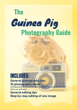 Guinea Pig Photography Guide - Digital Download