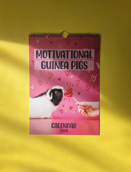 Motivational Guinea Pig Wall Calendar 2026