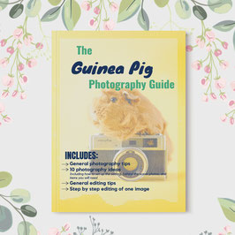 Guinea Pig Photography Guide - Digital Download