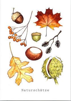 Postkarte Naturschätze