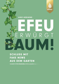 Efeu erwürgt Baum! Schluss mit Fake News aus dem Garten