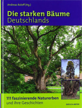 Andreas Roloff: Die starken Bäume Deutschlands:   111 faszinierende Naturerben und ihre Geschichten