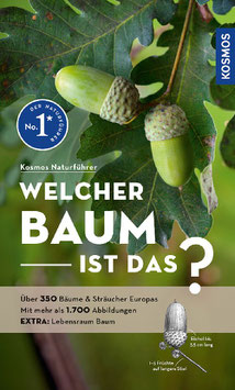 Spohn: Welcher Baum ist das?