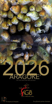 Koi Kalender Aragoke 2026