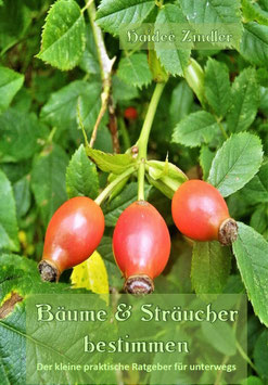 Bäume und Sträucher bestimmen