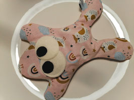 Kirschkernfrosch Sybille