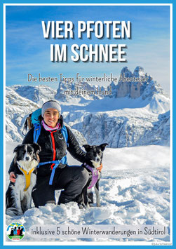 Vier Pfoten im Schnee, die besten Tipps für winterliche Abenteuer  mit deinem Hund  (E-book)