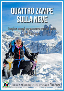 Quattro zampe sulla neve; I migliori consigli per avventure invernali sicure con il tuo cane