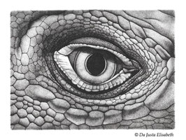 Estampe oeil d'iguane