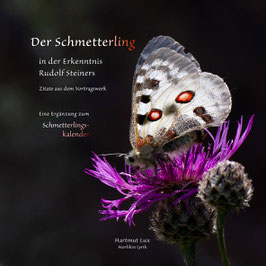 Der Schmetterling in der Erkenntnis Rudolf Steiners