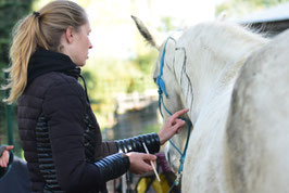 Erstbehandlung Osteopathie