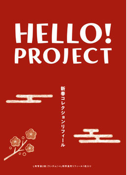 HELLO PROJECT CLEAR FILE MIT BILD 1