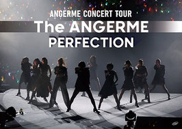 ANGERME CONCERT TOUR - The ANGERME - PERFECTION