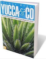 Yucca & Co