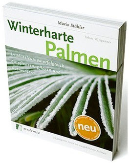 Winterharte Palmen