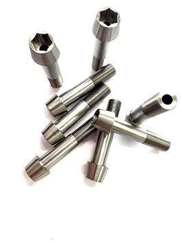 Hollow Titanium bolts for swingarm