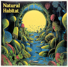 Indi Zone - Natural Habitat
