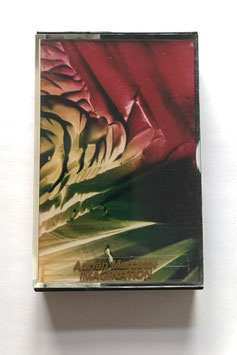 Adrian Marcator - Imagination