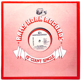 Electrik Funk - On A Journey (I Sing The Funk Electric)