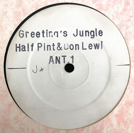 Half Pint & Don Lew - Greeting's Jungle