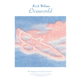 A.r.t. Wilson - Overworld