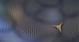 FRANK HAASE