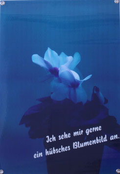 Angebot 022 / Hanna Lenz