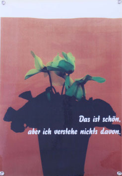 Angebot 023 / Hanna Lenz