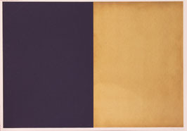 Angebot 005 / Thomas Redl