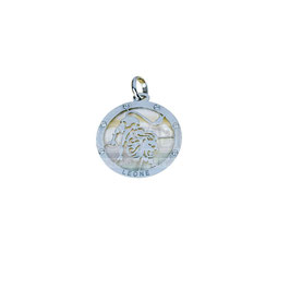 Ciondolo segno zodiacale leone in oro bianco Referenza: C1700B