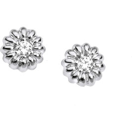 COMETE Orecchini Donna Gioielli  Punto Luce  ORB 679