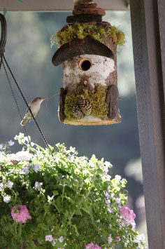The Flat Top Bird House