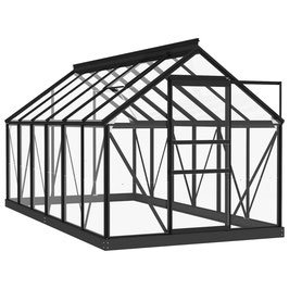 Gewächshaus aus Glas und Aluminium mit Stahlrahmen - 155x298x191cm