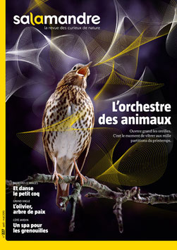 Magazine "Orchestre des animaux"