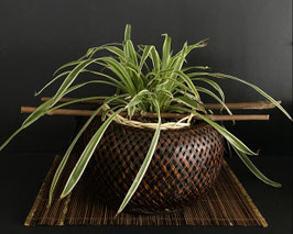 Panier d'Ikébana