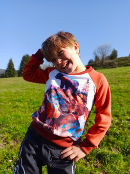 Sweat ours brique