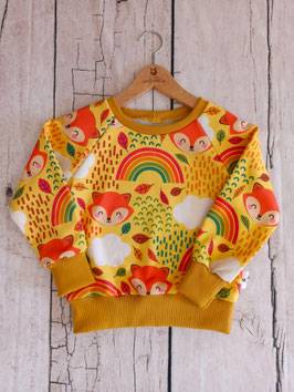 Sweat renard arc en ciel