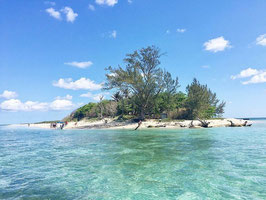 ISLA DE ENMEDIO SNORKEL Y PLAYA