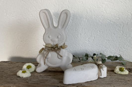 Osterhase mit "Rüebli"